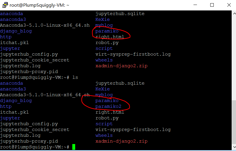 项目需求 -pyhton 在 linux 输入命令创建传输文件 1